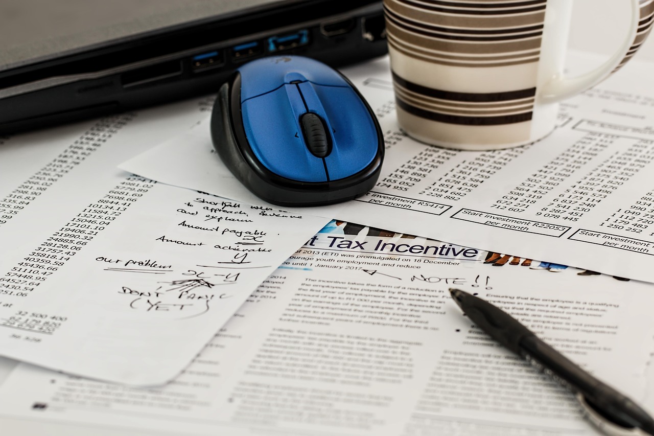 Minnesota business owner setting up LLC financial records and bookkeeping system